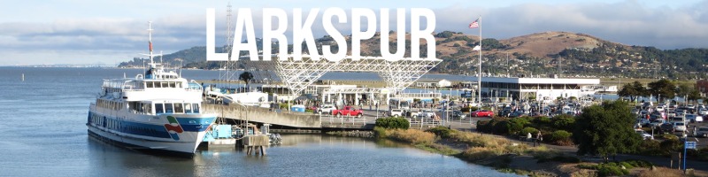 Larkspur_Webpage-1_(4)