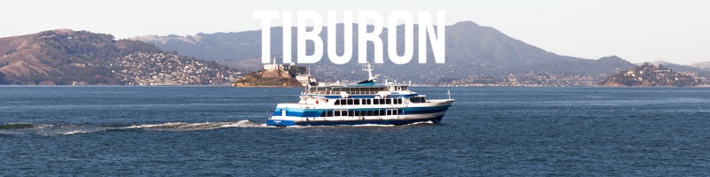 Tiburon-1_(2)